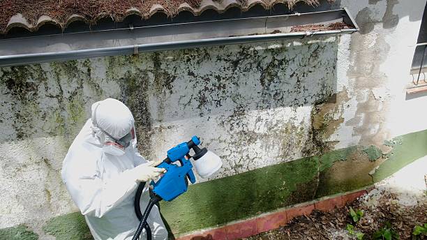 Top rated local Attic Mold Remediation specialists in Willow Hill, PA